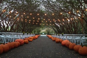 dallas arboretum string lighting